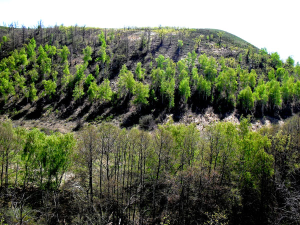 ���� ������������1.jpg