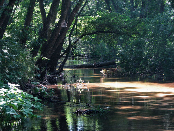 03 ������.jpg