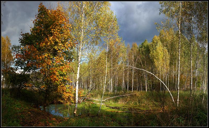 ���� �������������� 2.jpg