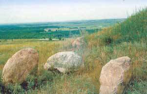 ������ 2.jpg