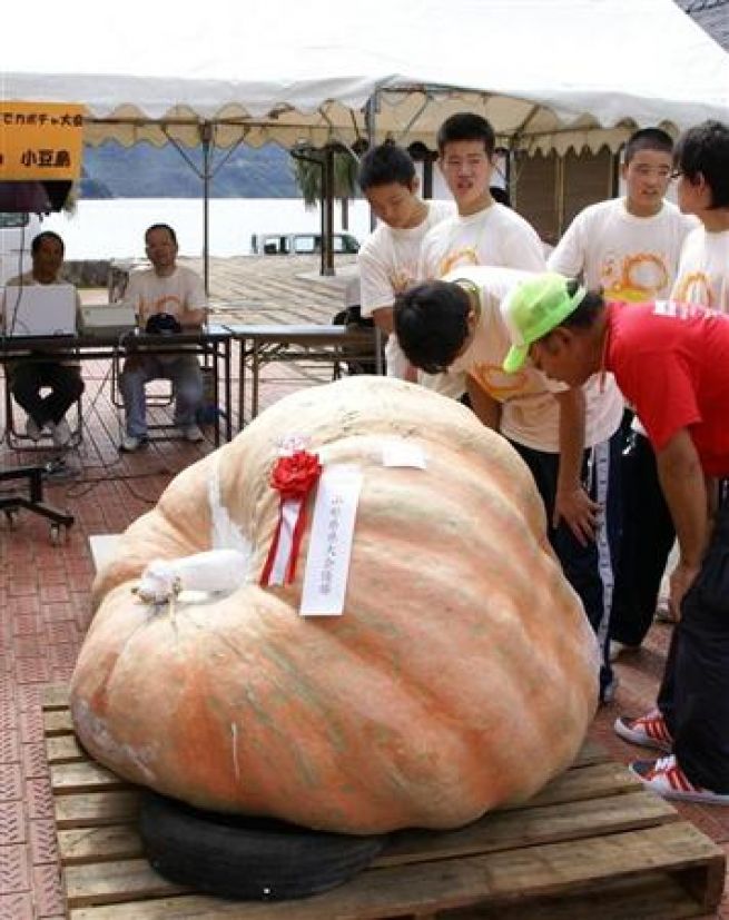 pumpkin1.jpg