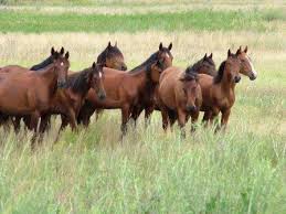 ����������� (7).jpg