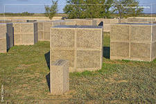 ���� �������� 5.jpg