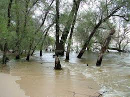 ����������� (6).jpg