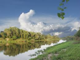 ����������� (5).jpg