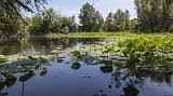 В Волгоградской области уникальное озеро и пойму хотят сделать Меккой для туристов В Волгоградской области уникальное озеро и пойму хотят сделать Меккой для туристов