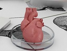 ������� ������ �������� �� 3D-��������