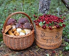 ���������� ��������� ������������ ���� ������ � ����