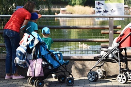 ��������� ����������� �������� ������� ����������