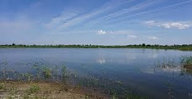 � ������������� ������� ���������� ������� ����������� ���� ���������