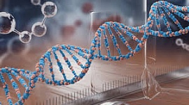 � ������ ���������� ������������ ����������� ������ ���� ��� ������������