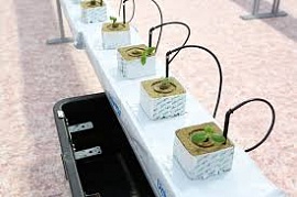 ��������� ������������ ��������� ���������� ����� � �������