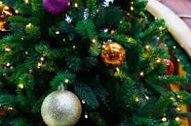 ����� 100 ����������� ����������� ���� ������������ � ���������� ���