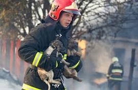 ������ �� ������� ����� ������ ������ �������