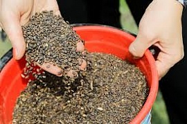 � ����� �������������� ������� ���������� �������� �� ����� �����