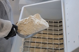 ������������� ������� ���� ������