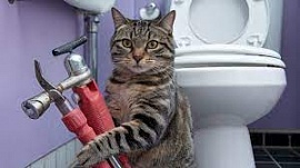 Wildberries ��������� ������� �����