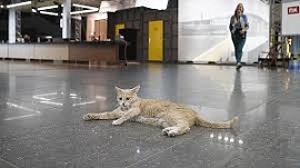 � ������ ���������� �� ����������� ���������� ����� � ����� � ��������