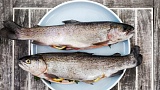 Россельхознадзор усилил радиологический контроль за ввозом рыбы из Японии
