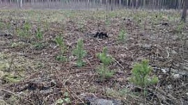 � ������� �� ����� ����������� ���������� ������� ���