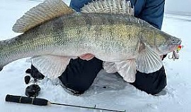 ����������� ������� ��������� ����-������� �� ������ ������ �������