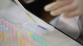 ���������� �������� ������� ������� � ������� ������ ������� ���