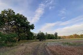 ���� ����� �������� ���� � ������������� ������� �������� �� ����������