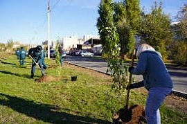 � �������� ���������� ��� �������� ����� ������� � ����� 35-����� ���������