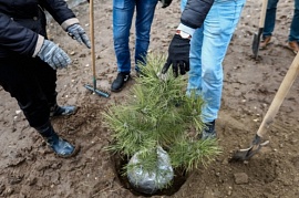 �������� ������� ���������� � ����� ����������