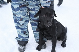 �������� ���������: � ���������� ��-�� ��������� ����� ���������� ����� � ��������