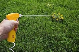 ���������� ������ ����������� ���������� ��� ����� � �������� �������� �� ��������