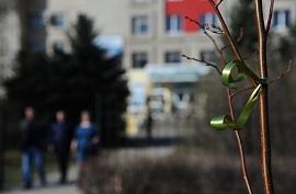 � ����� ������ ��������� 91 ��������� ������