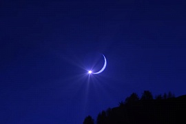 ������ ������������� ������� ������ ��������� 17 ����