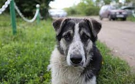 �� ������ ���������� �������� ������ ����������