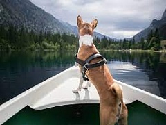 � ������� �������� ������������ ��������� ���������� ����� �� ����� �� ����� ���