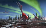 Обнаружен один из крупнейших видов летающих животных Обнаружен один из крупнейших видов летающих животных
