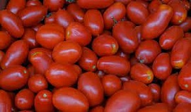 � ������������� ������� ��������� 11 ����� ���� ������ ��������� ������