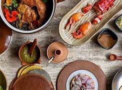 ������� ������ ��������� ������ 2024 ����